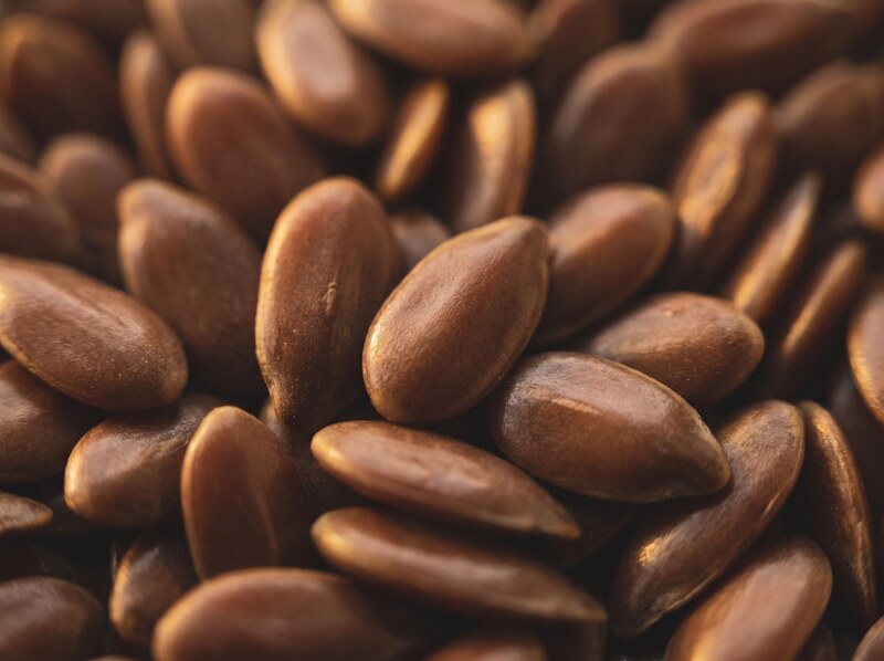 Macro photograph of glossy brown flax seed, also known as linseed