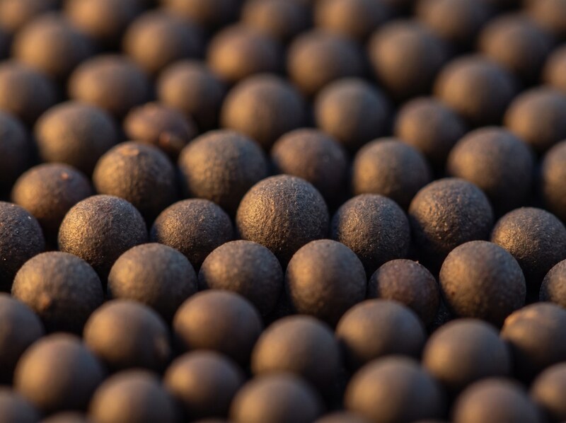 Macro photograph of round black rapeseed