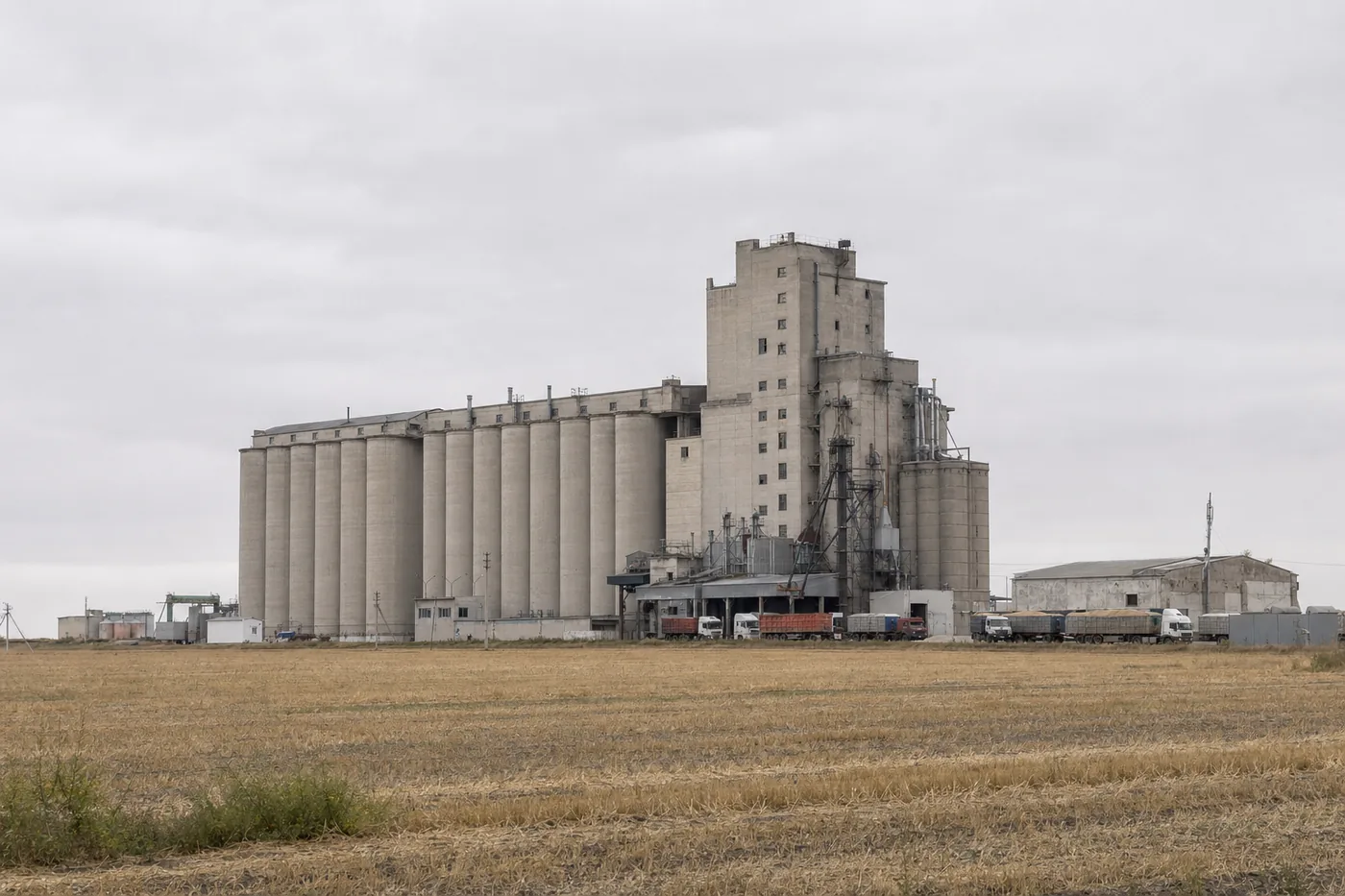 Grain elevator silos in the Kazakh grain belt